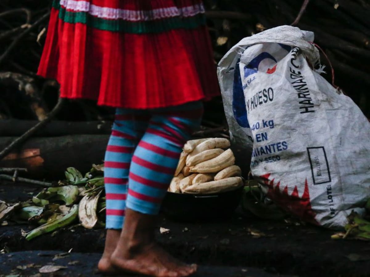 Regresaron a sus territorios 460 indígenas Embera que estaban en Bogotá