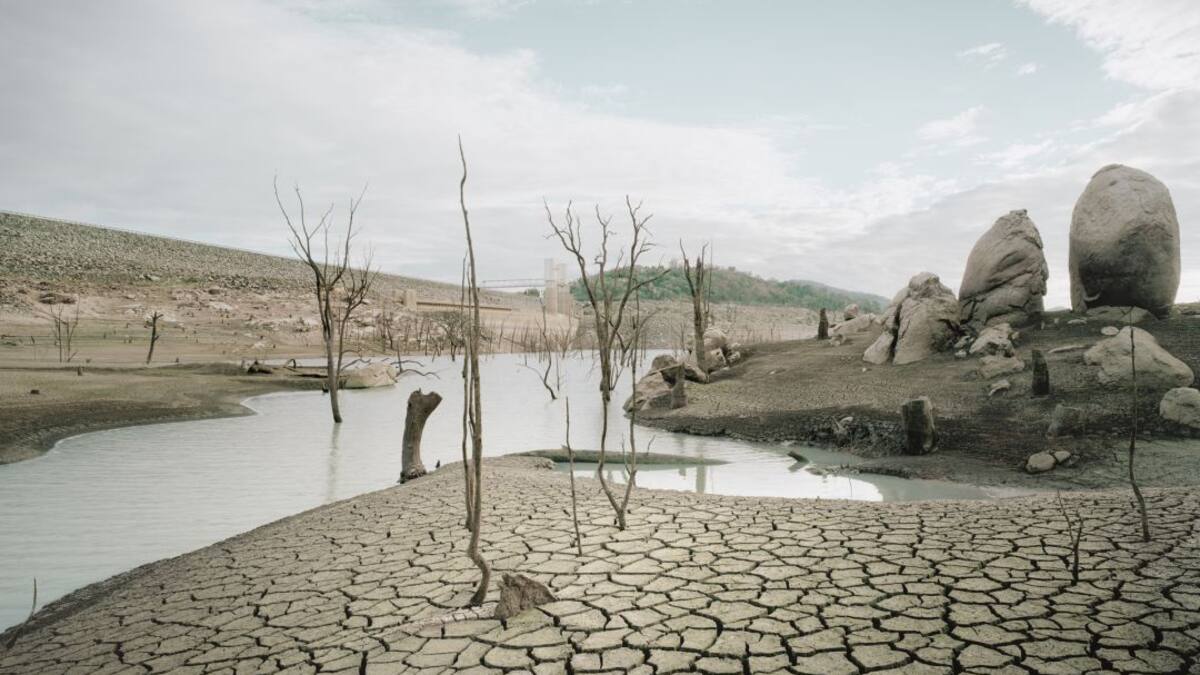 El cambio climático debe recibir respuestas a través de políticas de Estado
