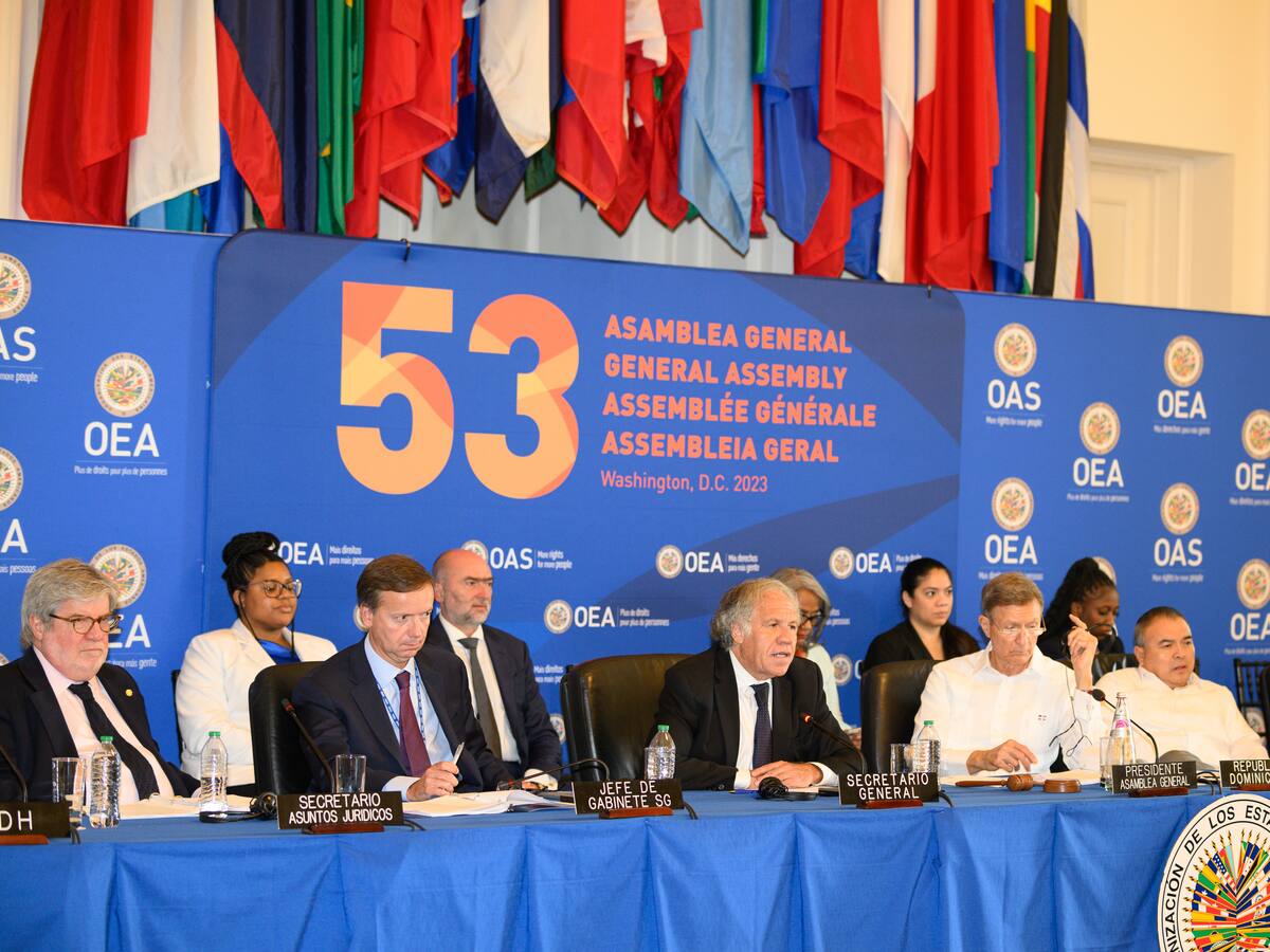 OEA aprueba resolución propuesta por Colombia para la protección de niños migrantes