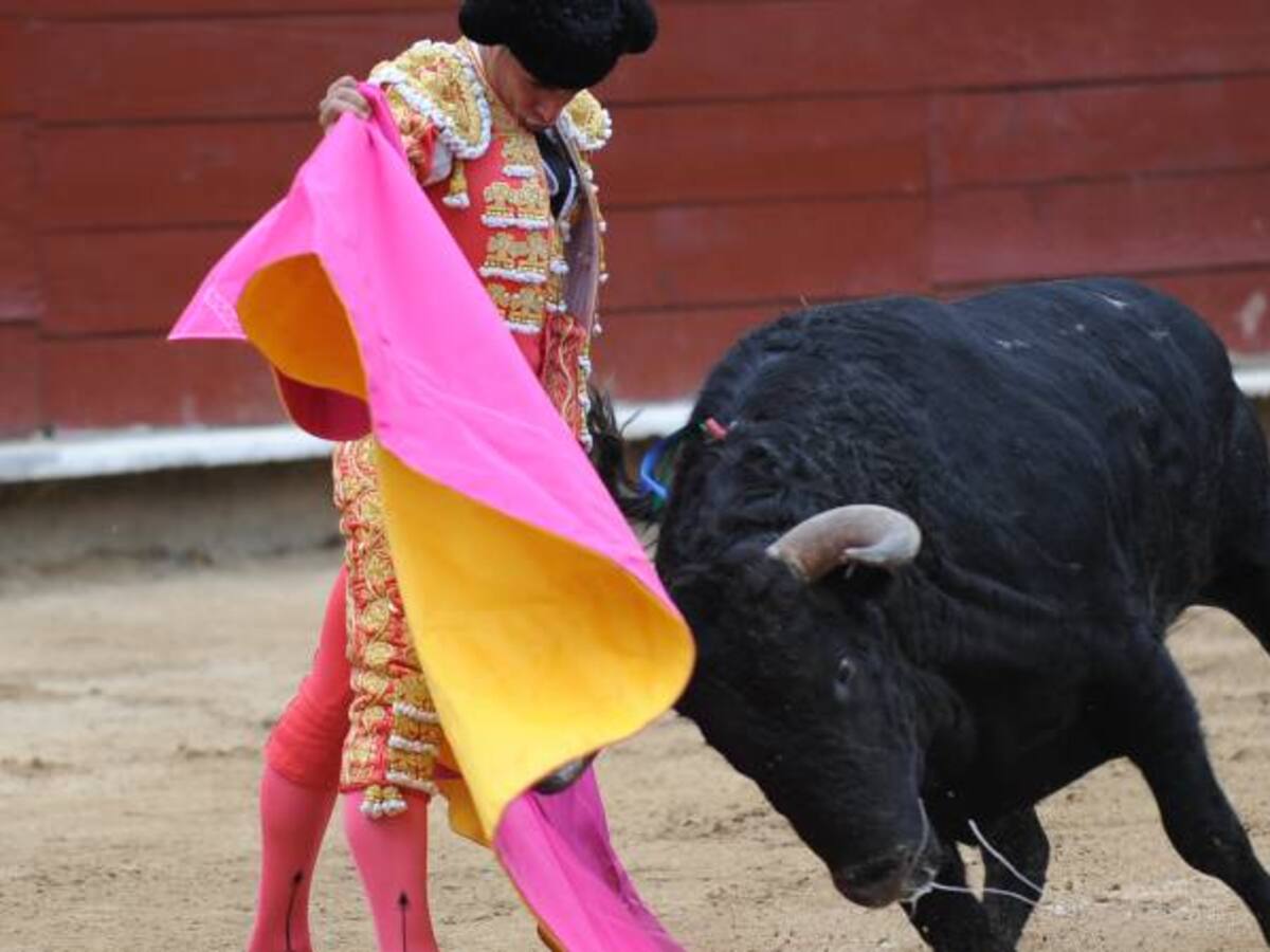 Nueva ley de protección animal prohibiría corridas de toros