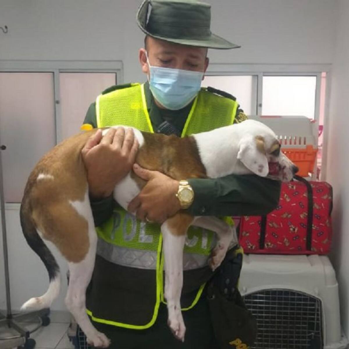 Perro fue víctima de un machetazo por ladrar