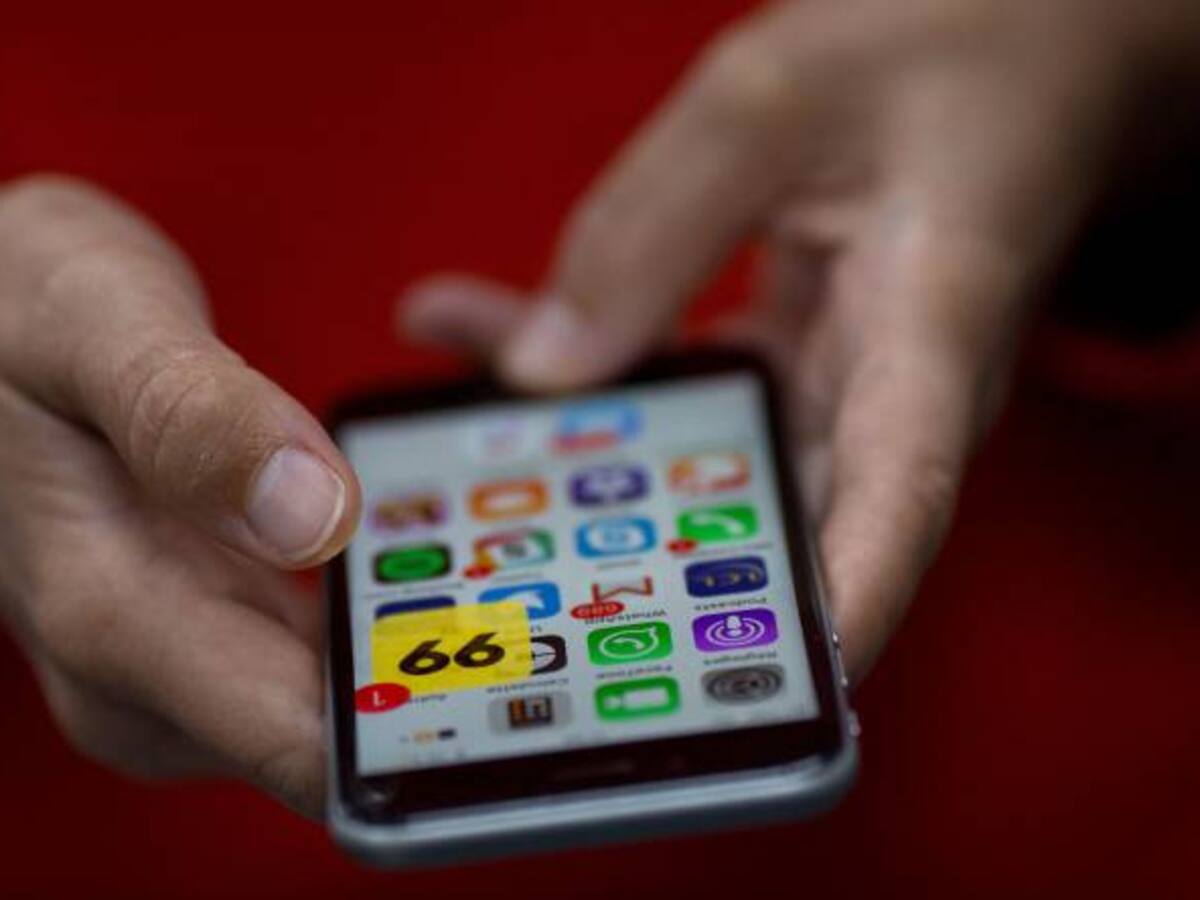 En mayo Bogotá tendrá aplicación para reportar abandono de mascotas