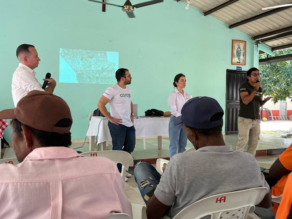 Privados se unen en proyecto CO2rozo de conservación de bosques y humedales