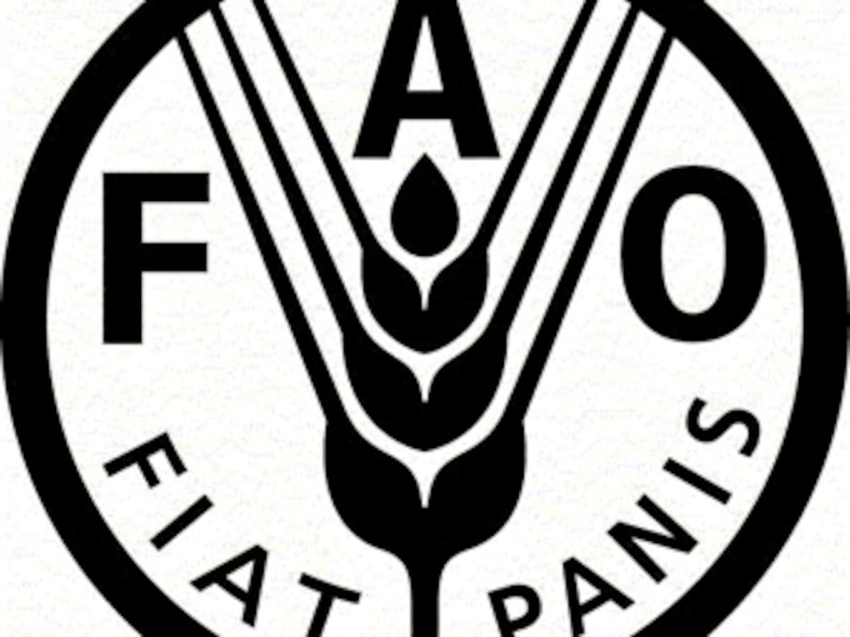 FAO advierte que el 70 % de enfermedades humanas son de origen animal