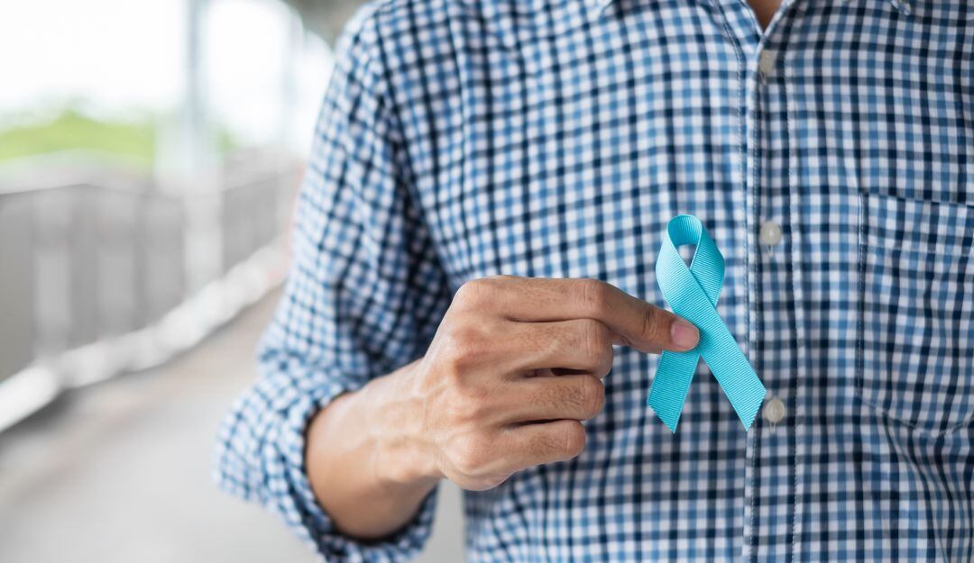 Imagen de referencia