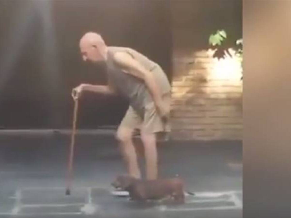 El video que ratifica la fidelidad de los perros