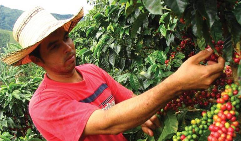En el municipio de Filandia se iniciaron las jornadas de vinculación de recolectores