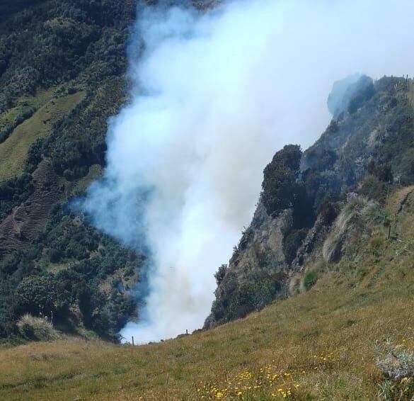 Controlado el incendio en el Parque Nacional Natural de los Nevados