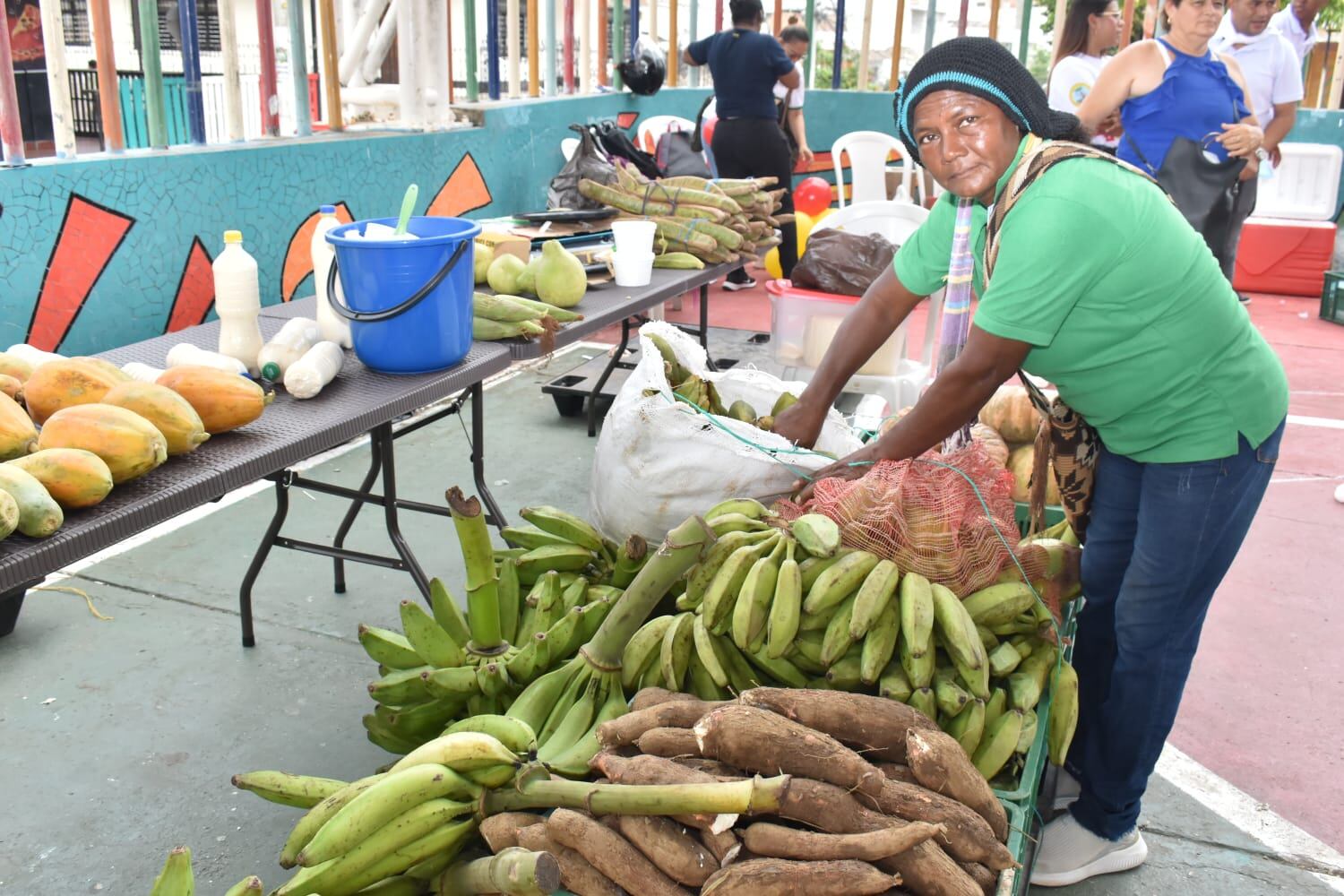 Alcaldía de Cartagena