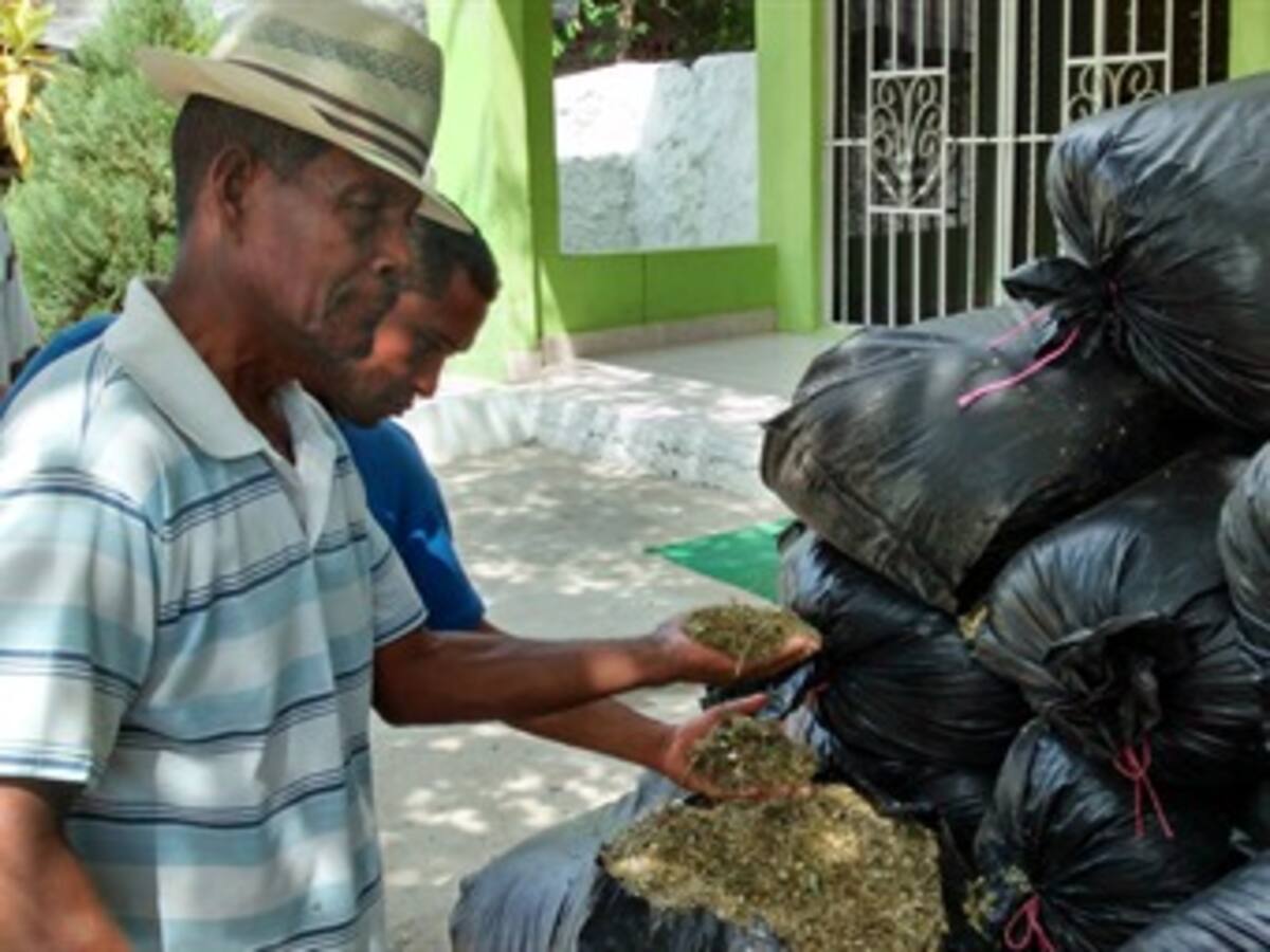 Alcaldía de Cartagena entrega 60 toneladas de alimentos para vacas