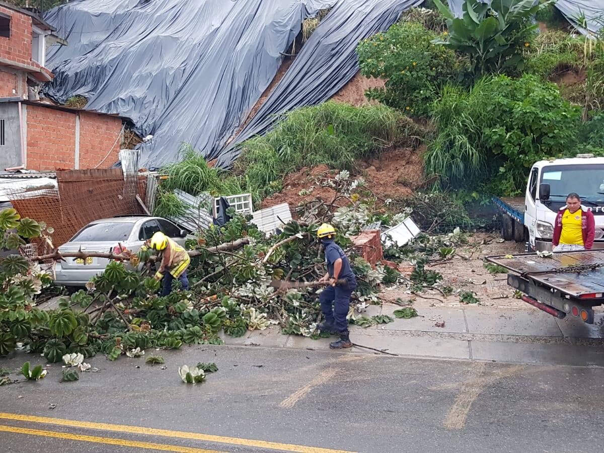 Nueva caída de árboles en sector de Miramanga