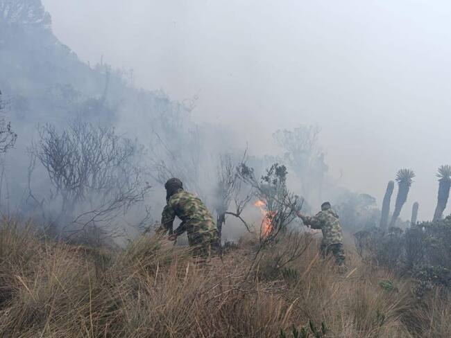 Tres municipios de Caldas han registrado incendios de capa vegetal por altas temperaturas