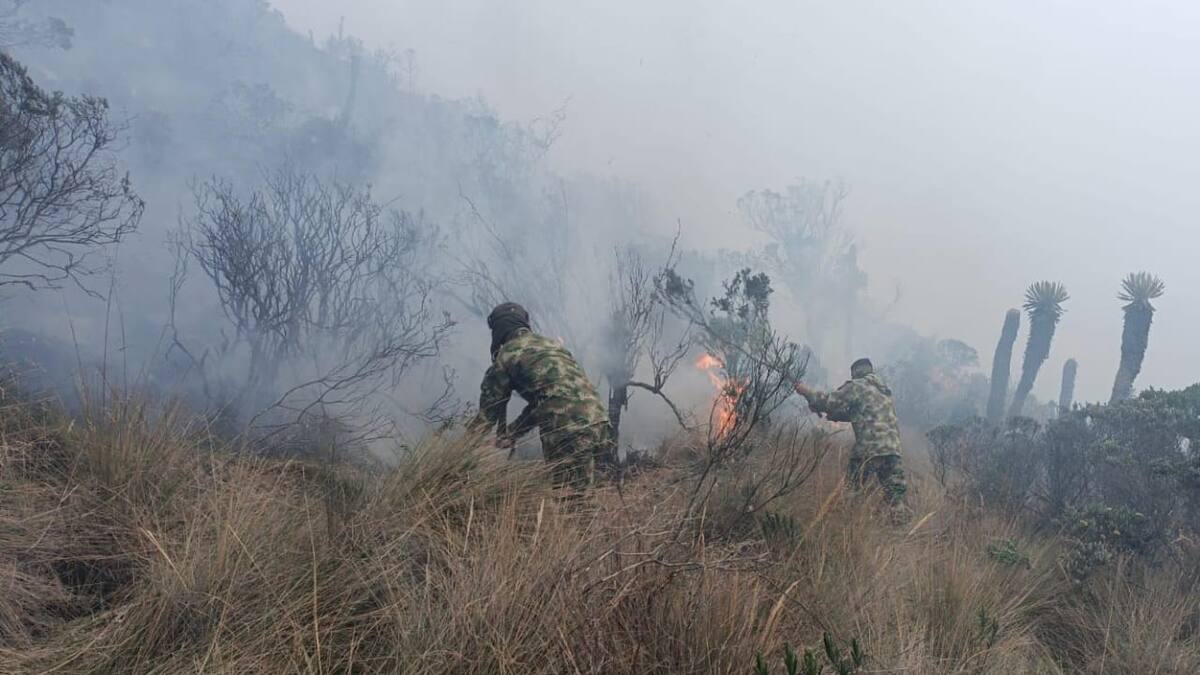Tres municipios de Caldas han registrado incendios de capa vegetal por altas temperaturas