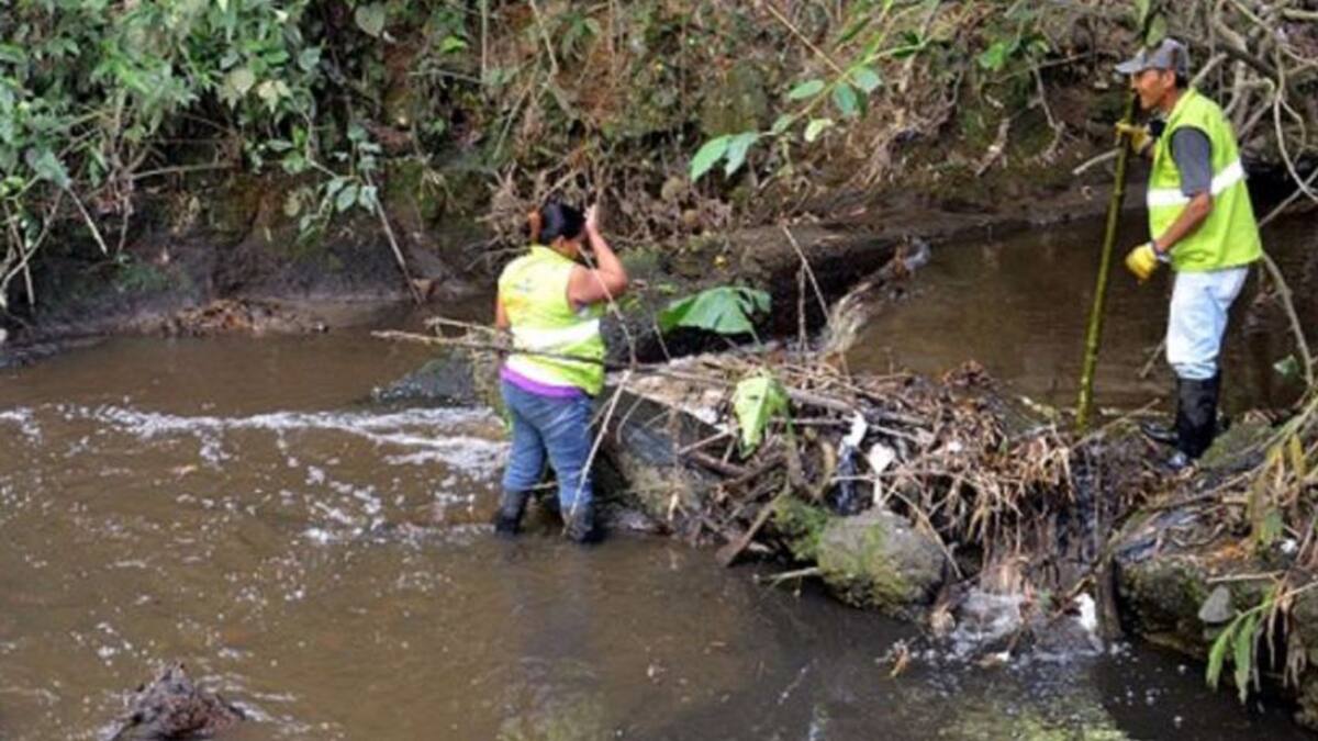 Infome polémica descontaminación
