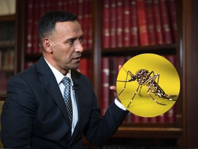 Ministro de Defensa, Pedro Sánchez, afirma que todos los miembros de las Fuerzas Militares deben estar vacunados contra la fiebre amarilla.