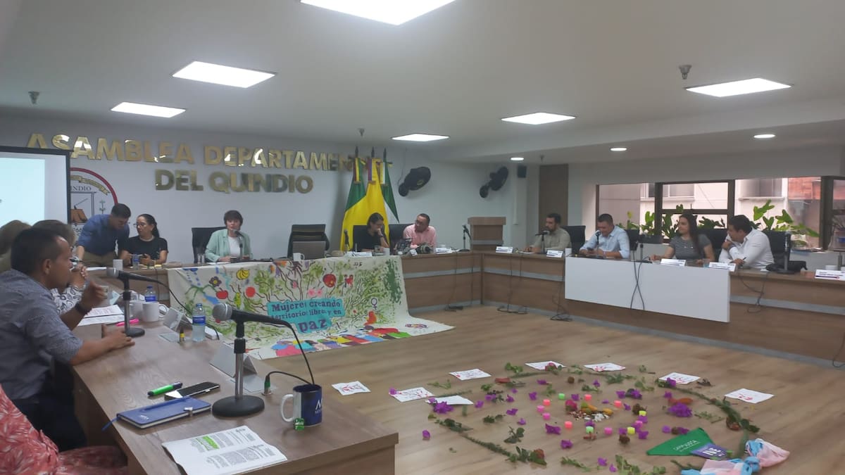 Informe comisión de la mujer en el Quindío
