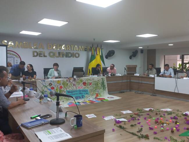 Informe comisión de la mujer en el Quindío