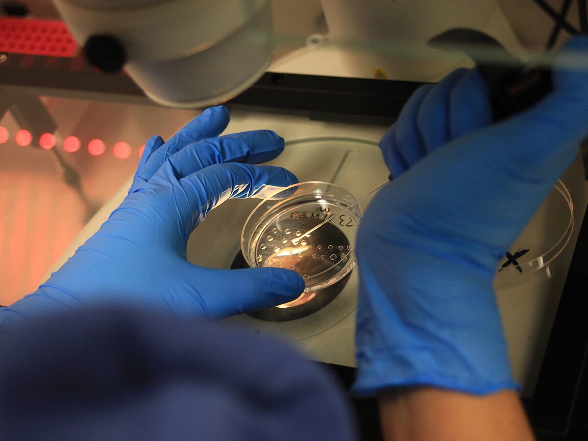 Denuncian posible riesgo en manejo de muestras de laboratorio en tres EPS en Boyacá