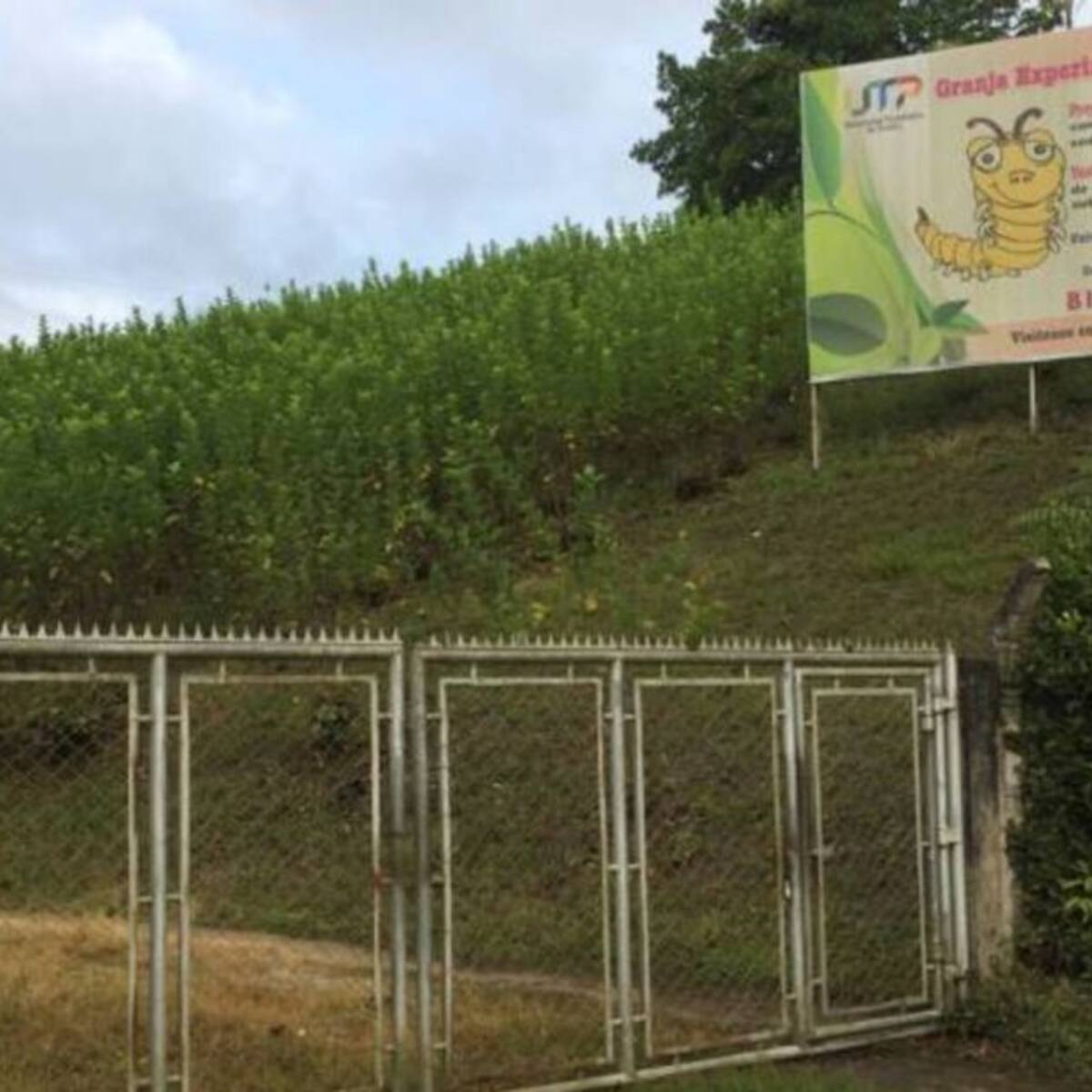 Iniciará la construcción de la cárcel de El Pílamo en Pereira