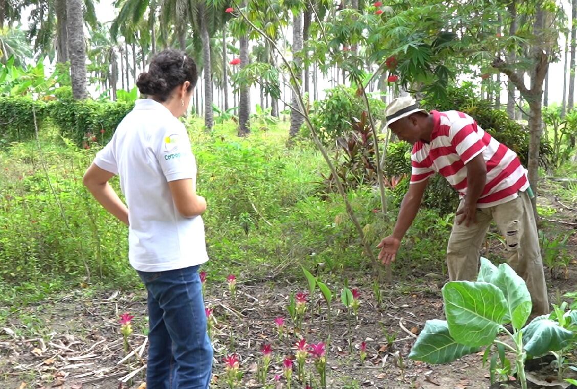 Prácticas agrícolas sostenibles en Magdalena . Gace