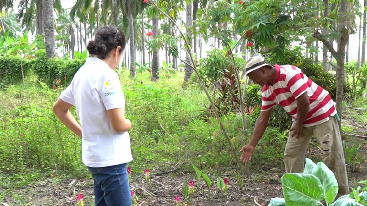 En el Magdalena impulsan proyecto para promover prácticas agrícolas sostenibles