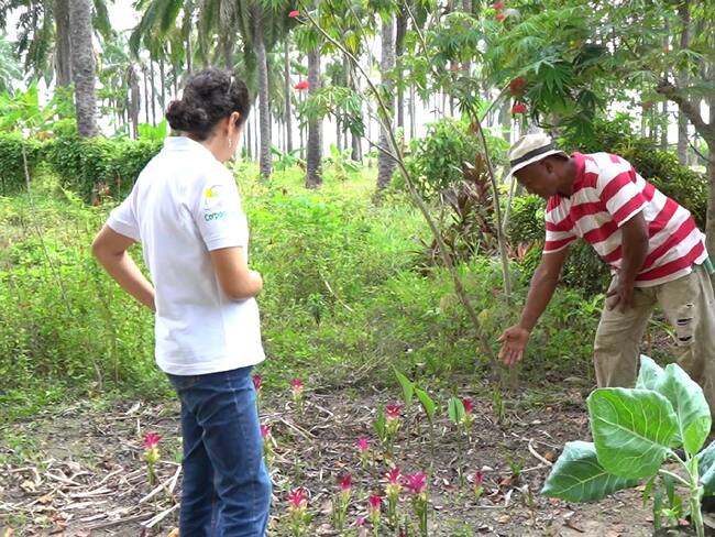 Prácticas agrícolas sostenibles en Magdalena . Gace