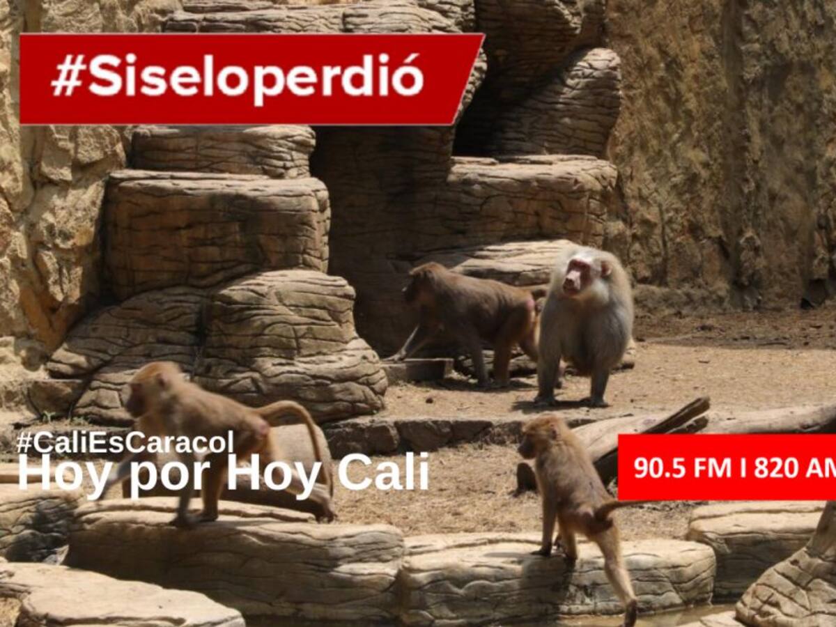 Cali Hoy por Hoy 01 de septiembre del 2020