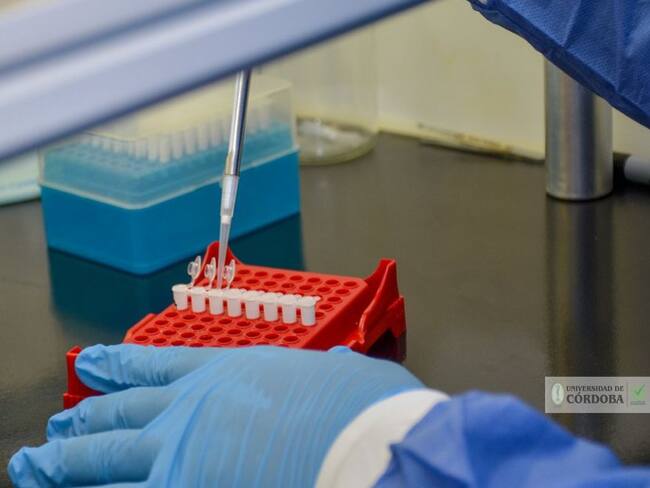 Estos son los seis nuevos casos positivos de COVID-19 en Córdoba