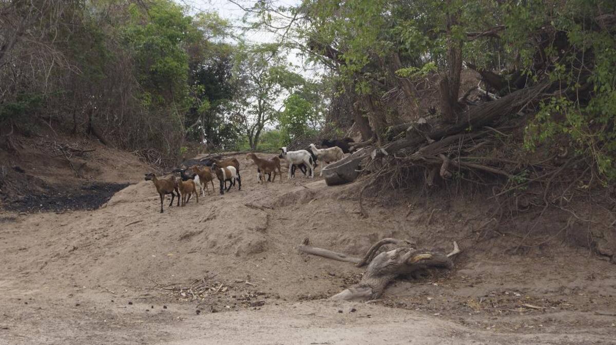 Recorrido de Caracol Radio por las zonas que aguantan sed. Fotos de Luis Enrique Rodríguez