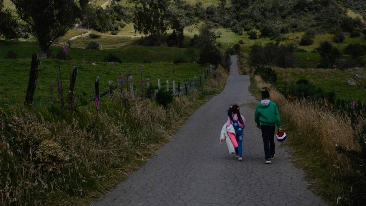 Experto habla sobre cómo construir paz a partir de la educación rural