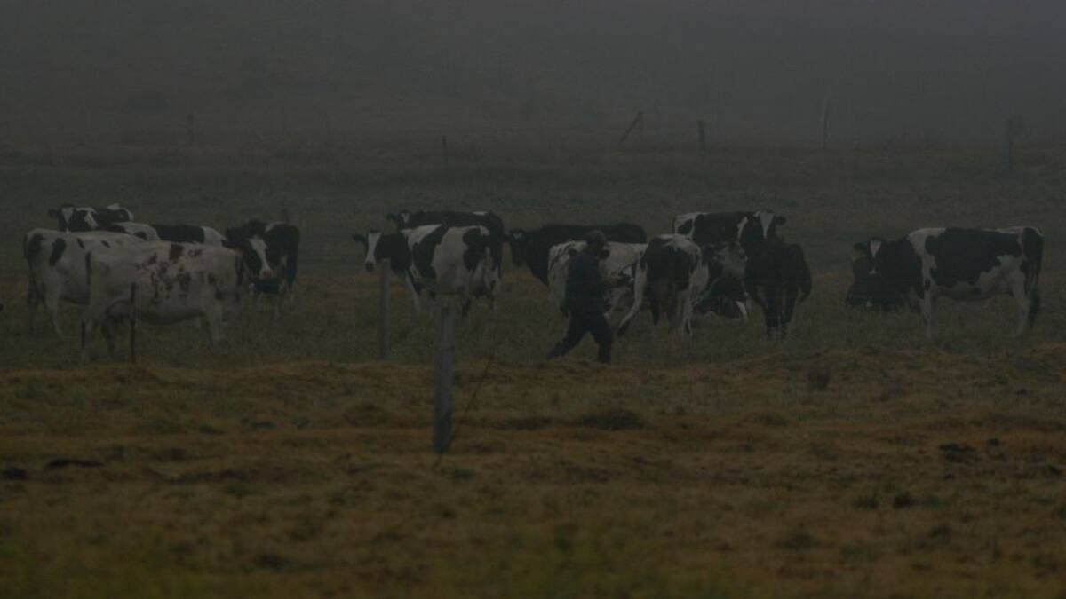 Emergencia por heladas en Boyacá