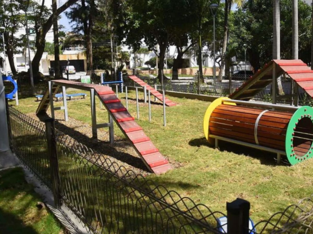 Más de 800 personas han sido sancionadas por vandalismo en parques