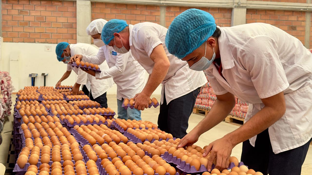 Más de 170.000 estudiantes se beneficiarían con el PAE en Córdoba. Foto: prensa Gobernación de Córdoba.