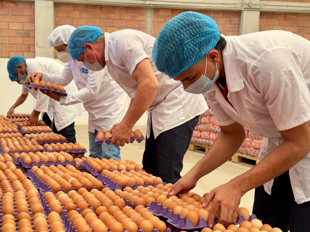 Más de 170.000 estudiantes se beneficiarían con el PAE en Córdoba