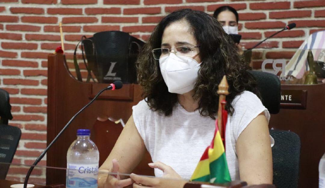 La secretaria de Hacienda presentó un proyecto para hacer un traslado presupuestal de $508.977 millones para tal fin