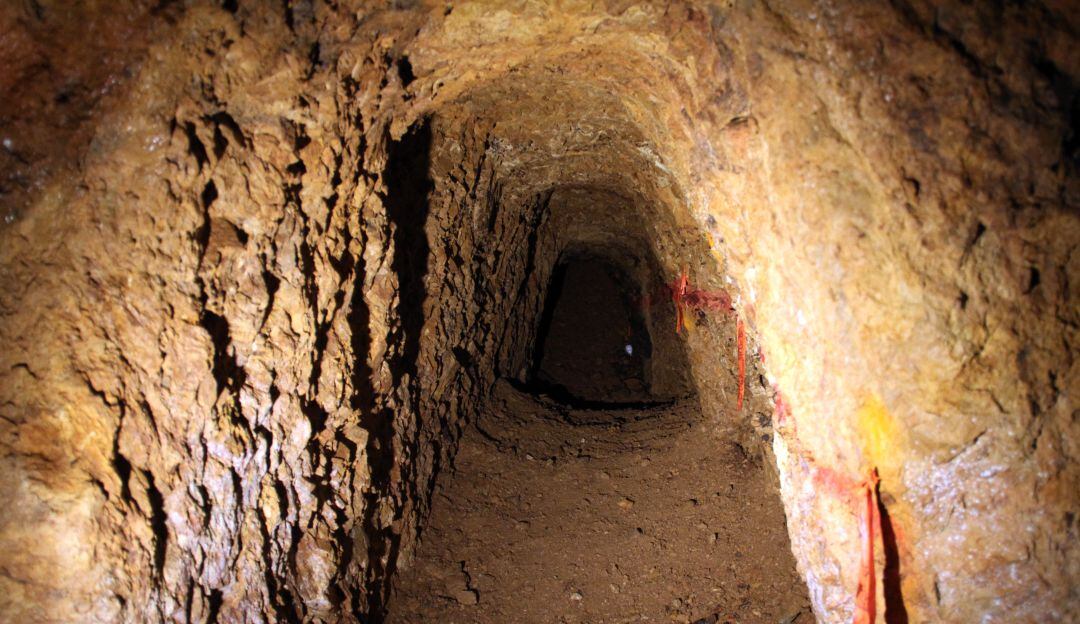 Imagen de referencia.