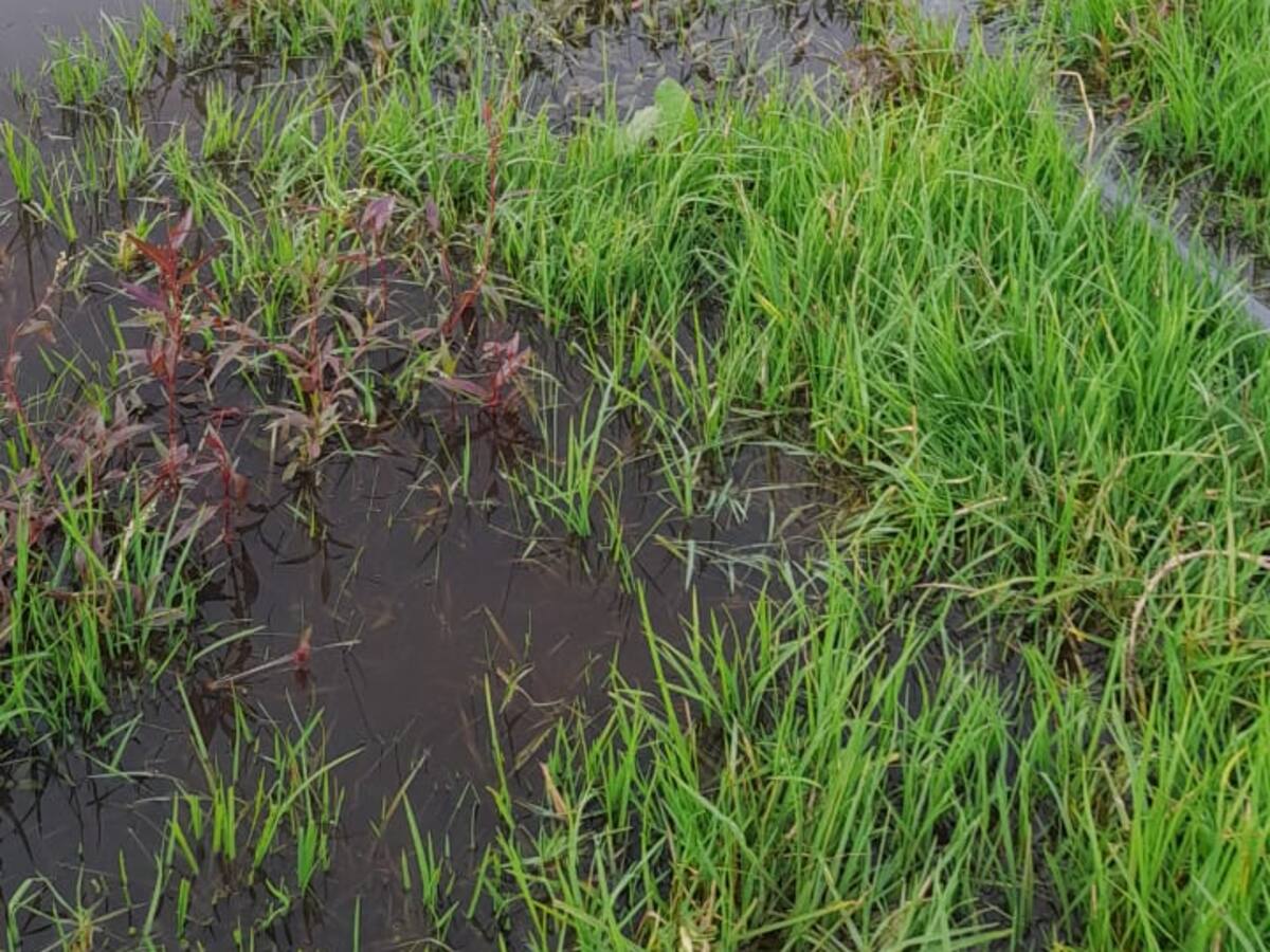 “Que se abran las compuertas del embalse La Copa por altos niveles”: alcalde de Toca