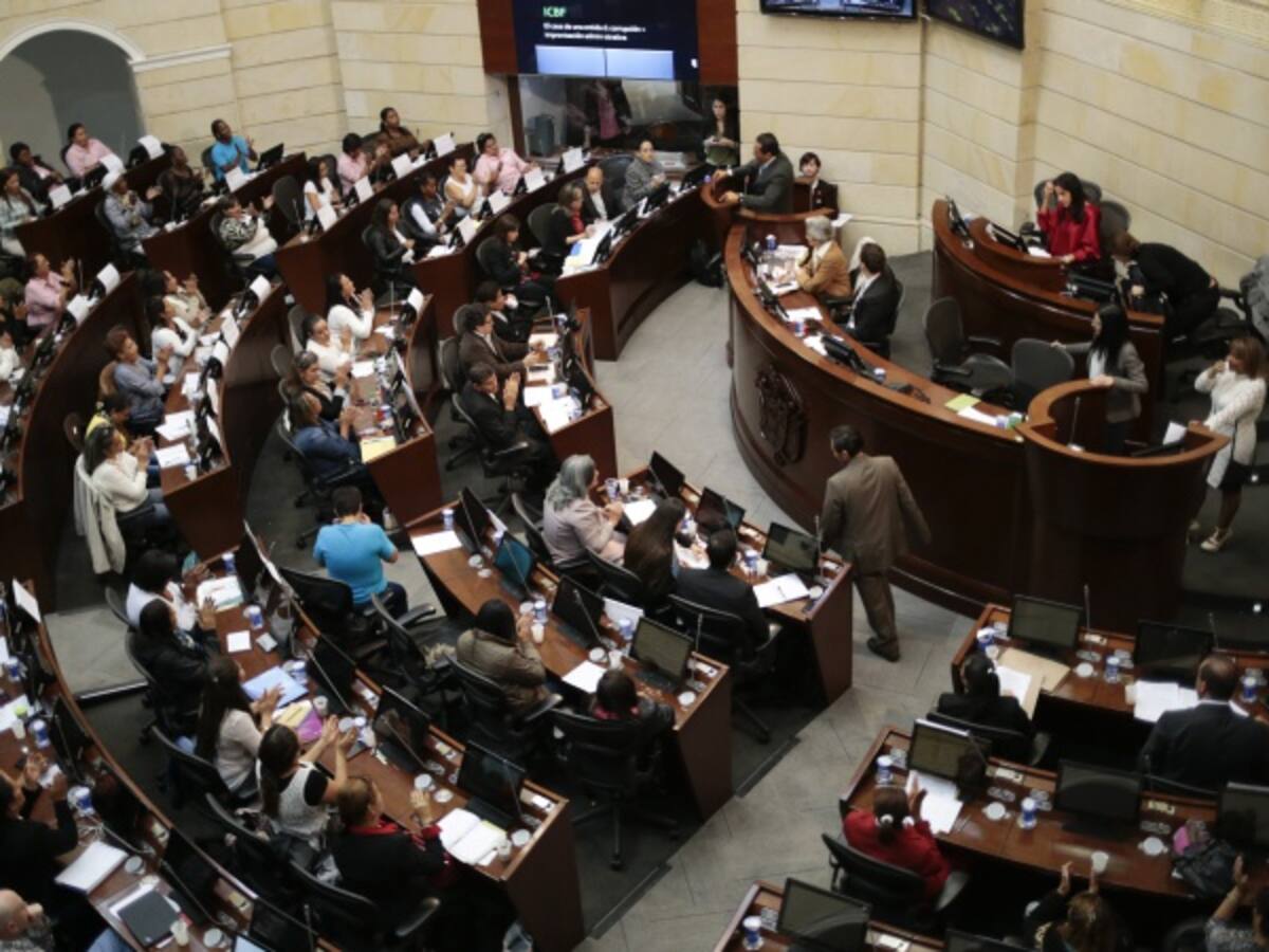Radican ponencia de reforma a la ley de orden público