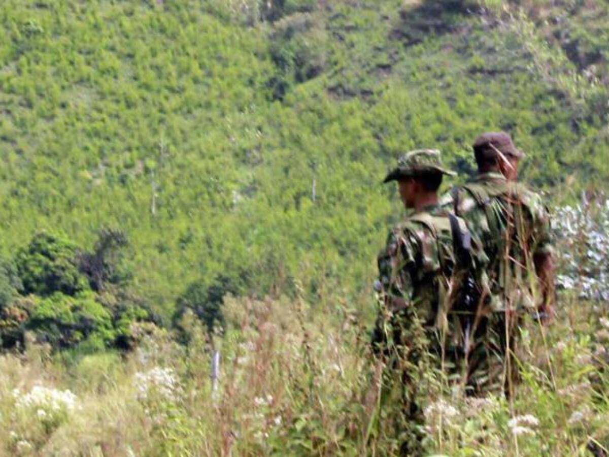 Entre 20.000 y 30.000 desmovilizados generaría acuerdo con las Farc: Reintegración