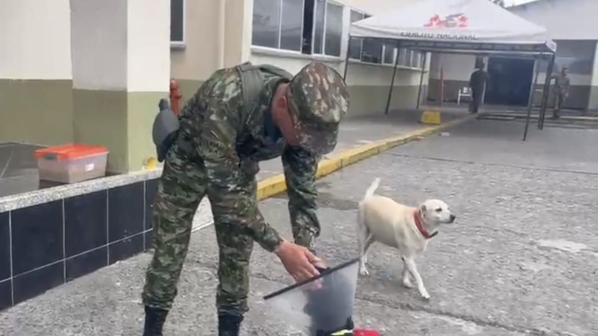 Teniente coronel Ronald García