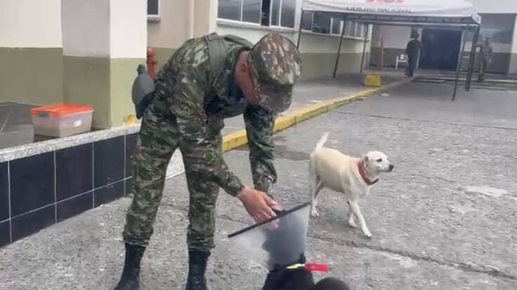 Teniente coronel Ronald García