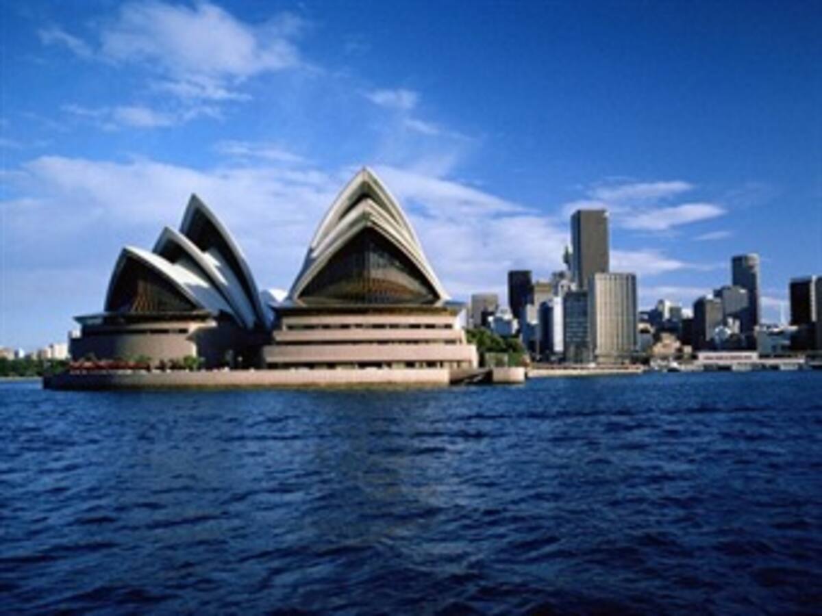 Descubren el tiburón híbrido en aguas de Australia