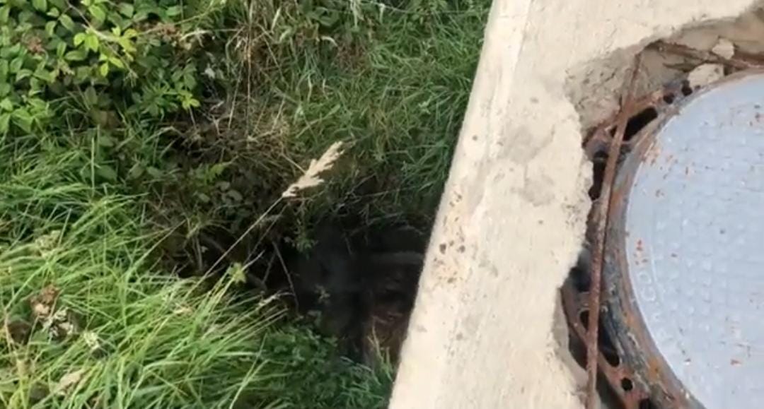 Fuga de agua en acueducto principal de Tunja, tras intervención ilegal / Cortesía: Veolia.