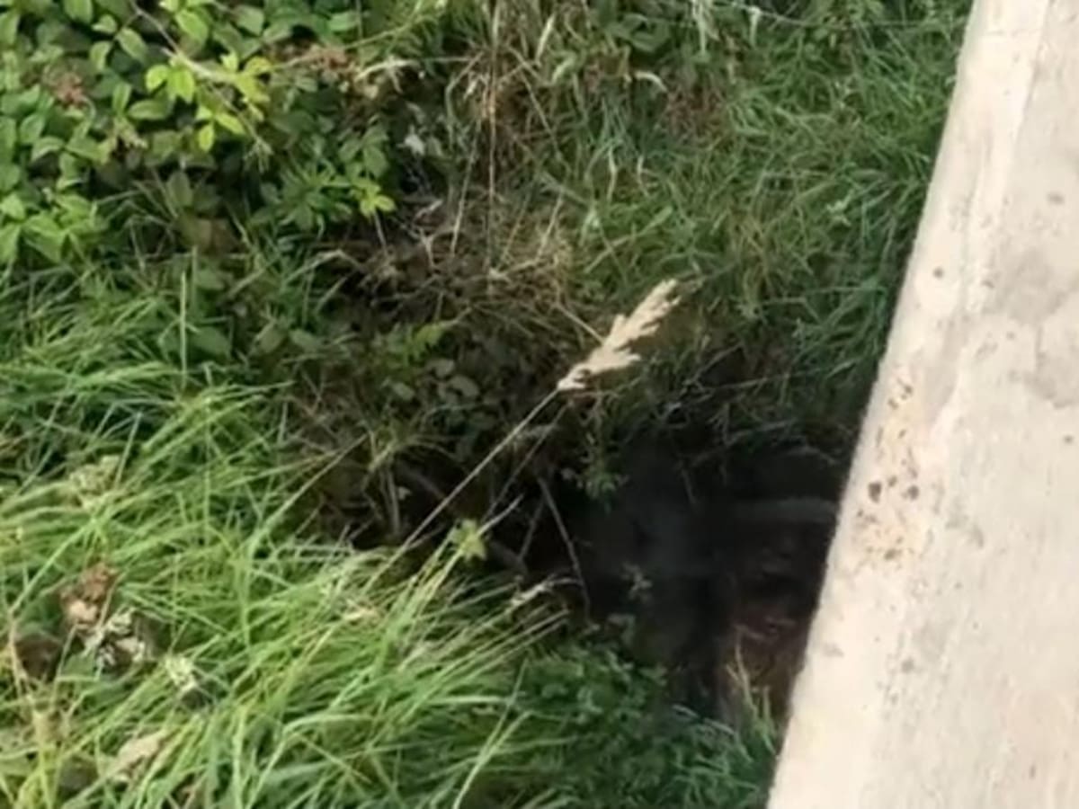 Veolia denuncia ante la Fiscalía intervención ilegal de acueducto principal de Tunja