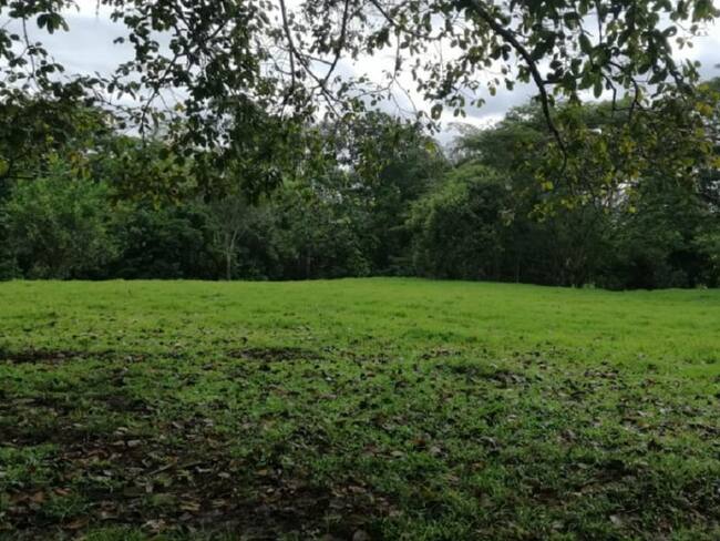 En Santander, invaden fincas