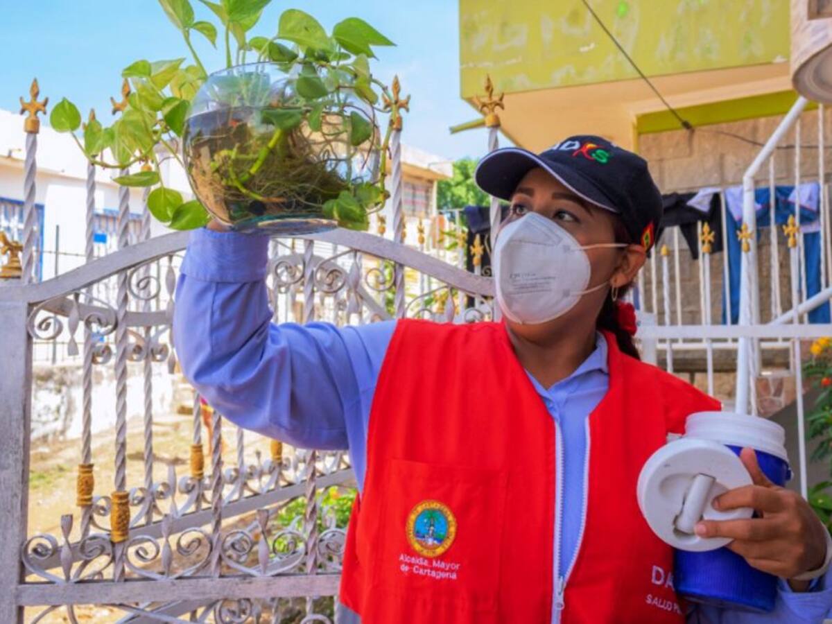 95.000 mil viviendas han sido fumigadas contra el dengue: Dadis