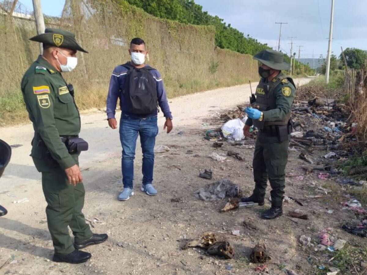 Desmienten supuesto caso de maltrato de caninos en Cartagena