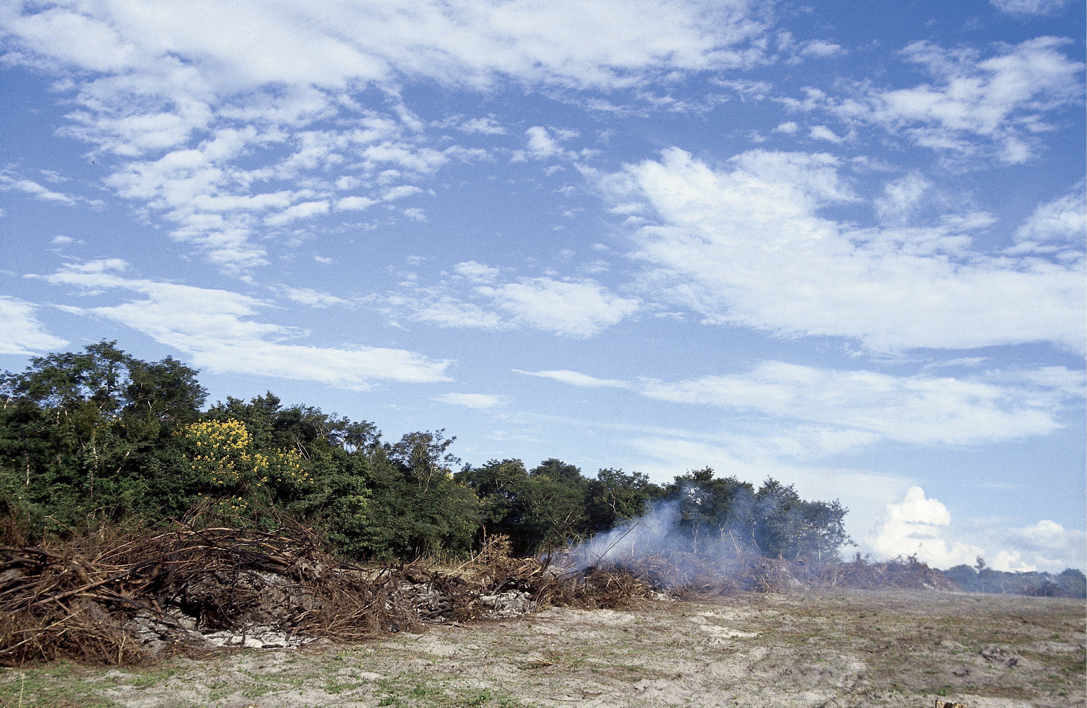 Deforestación en la frontera entre Venezuela y Brasil.  (Foto: Independent Picture Service/Universal Images Group via Getty Images)