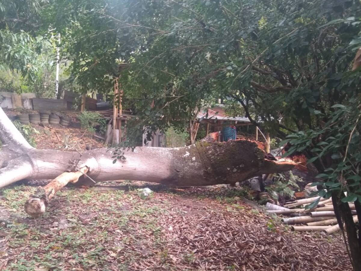 Lluvias ocasionan en emergencia en Honda, Tolima