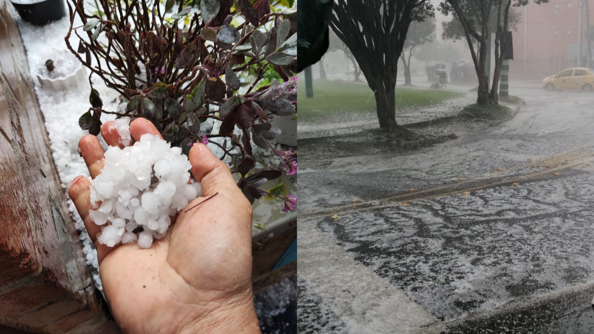 Granizo y movilidad en Bogotá - Twitter (@IbarraSocarras) (@Melquisedec70)